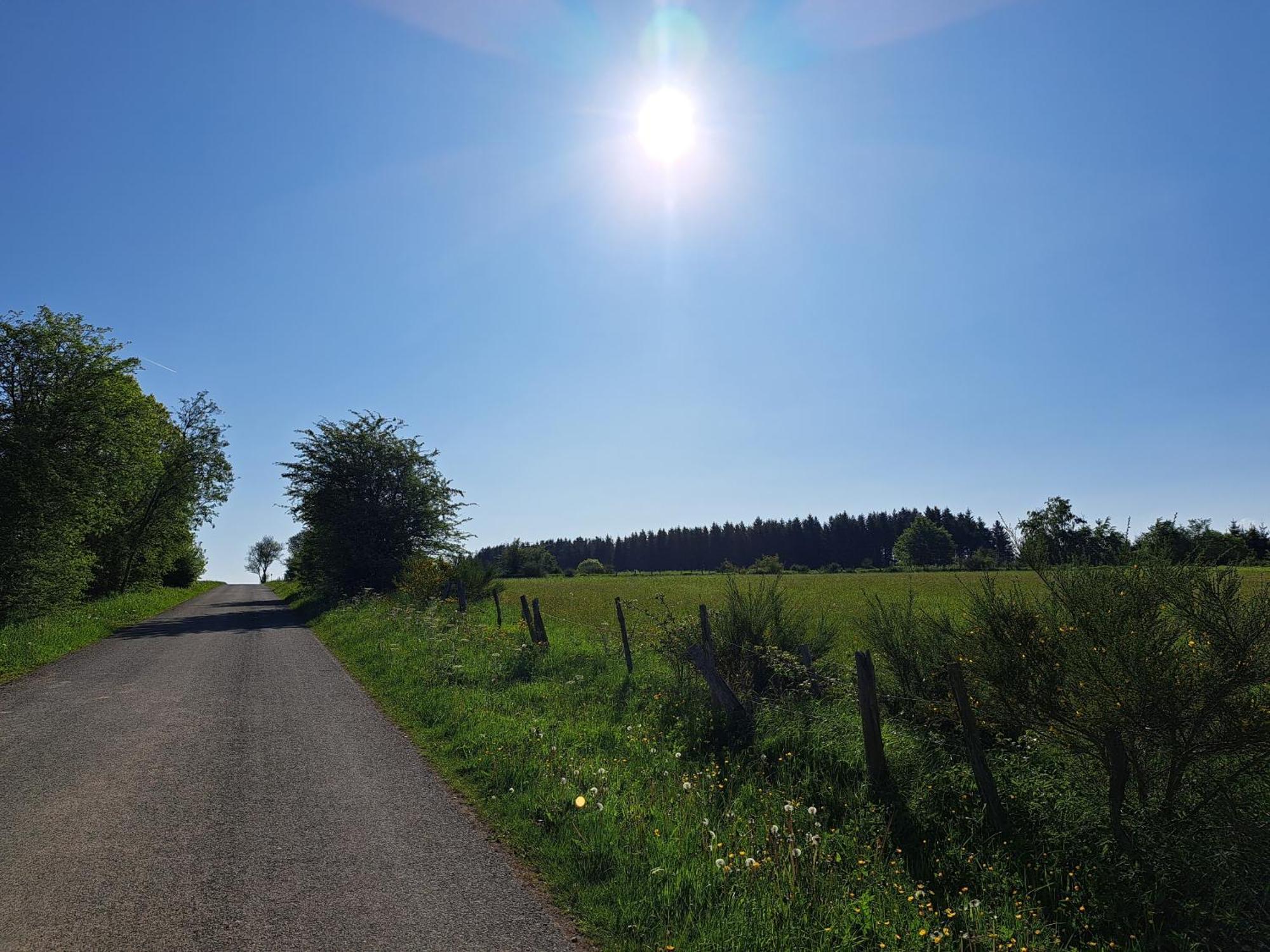 Sur Les Hauteurs La-Roche-en-Ardenne Cameră foto